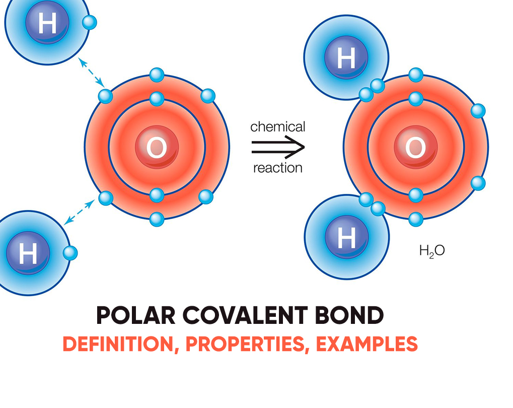 What Is A Polar Covalent Bond