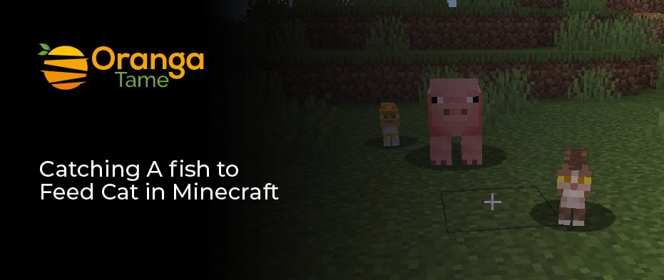 how to tame a cat in minecraft 1.13