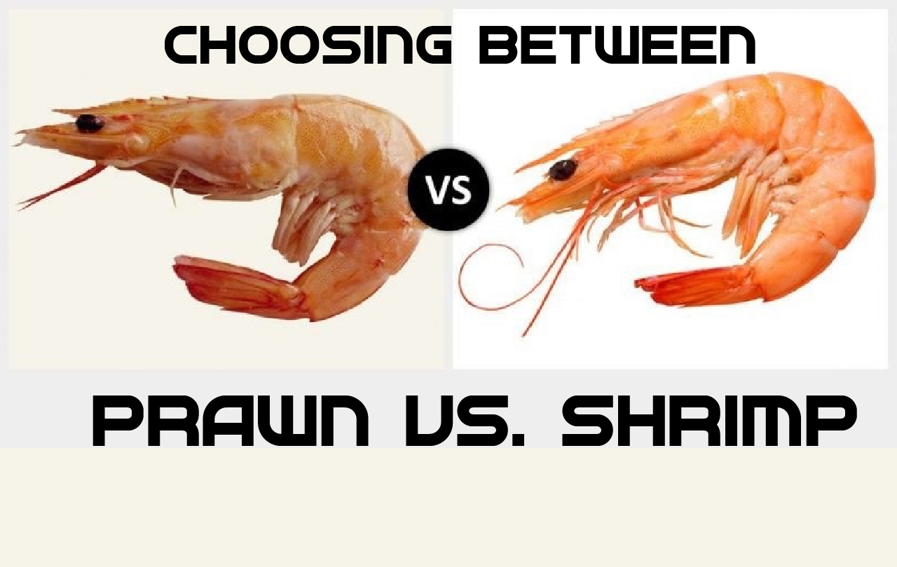 Prawns Vs Shrimp Taste