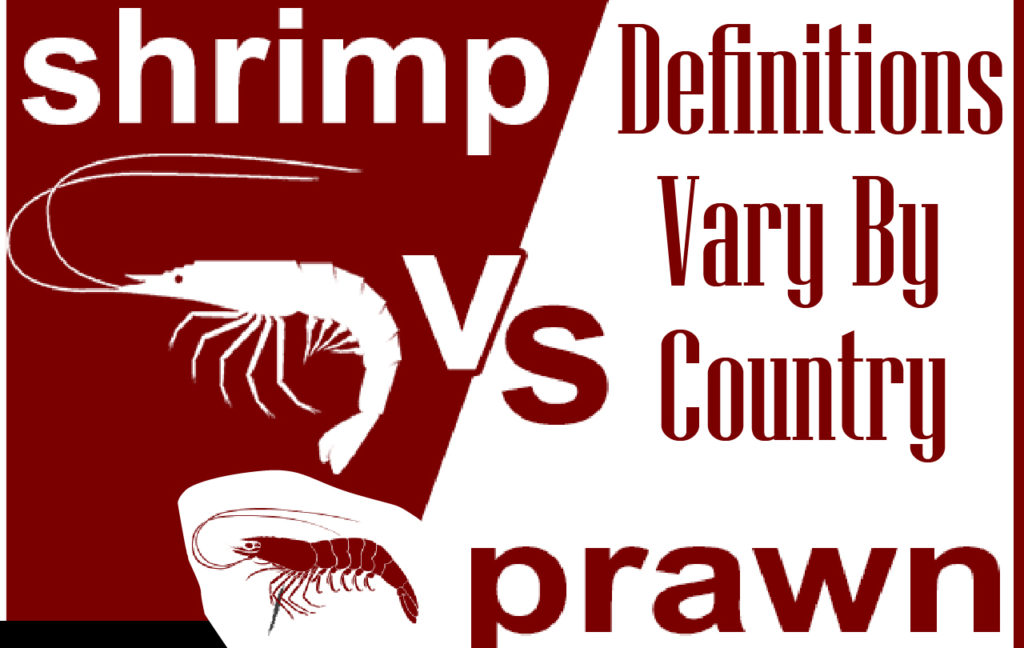 Prawn vs Shrimp Difference and Comparison
