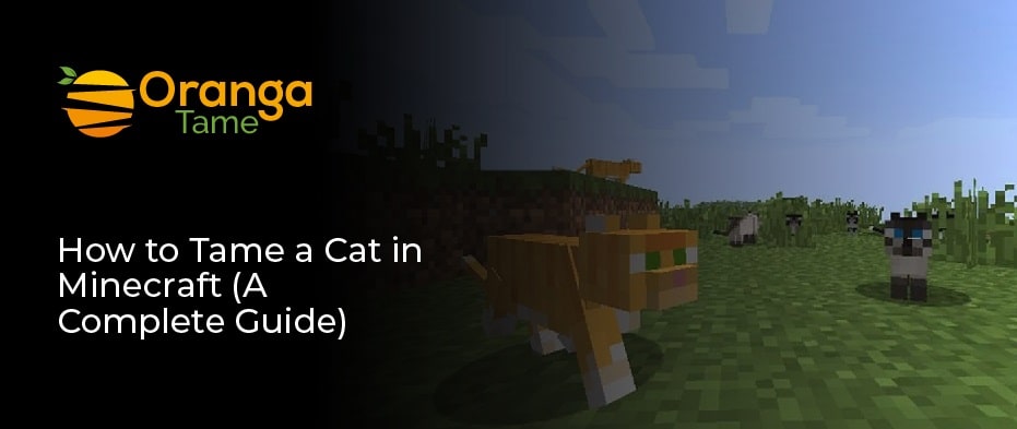 how to tame a cat in Minecraft