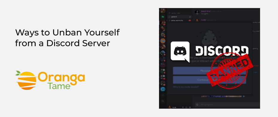 how to unban someone on discord server